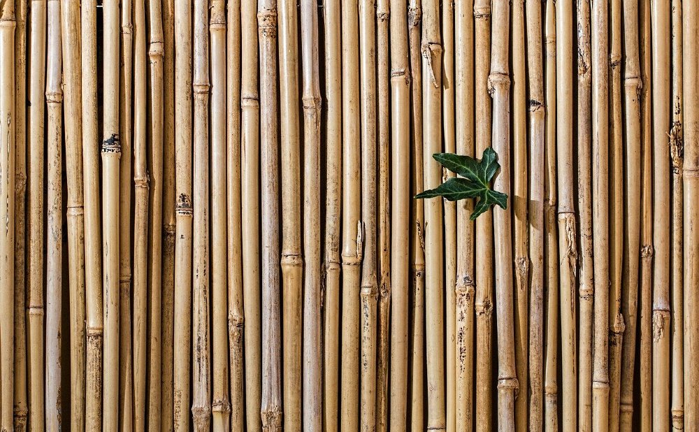 bambus zaun ir 1000
