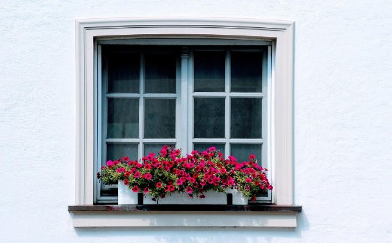 Fensterbank mit Blumen
