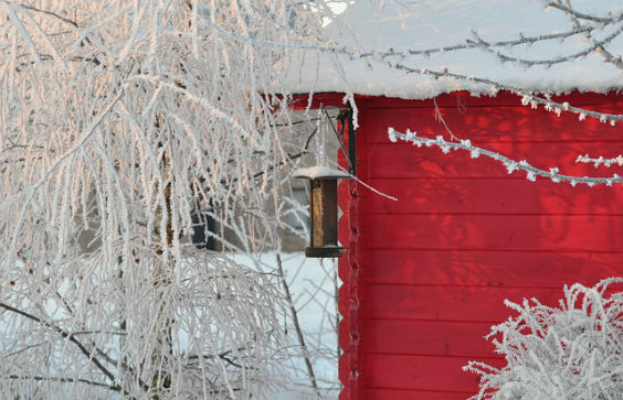 gartenhaus schnee rot 564